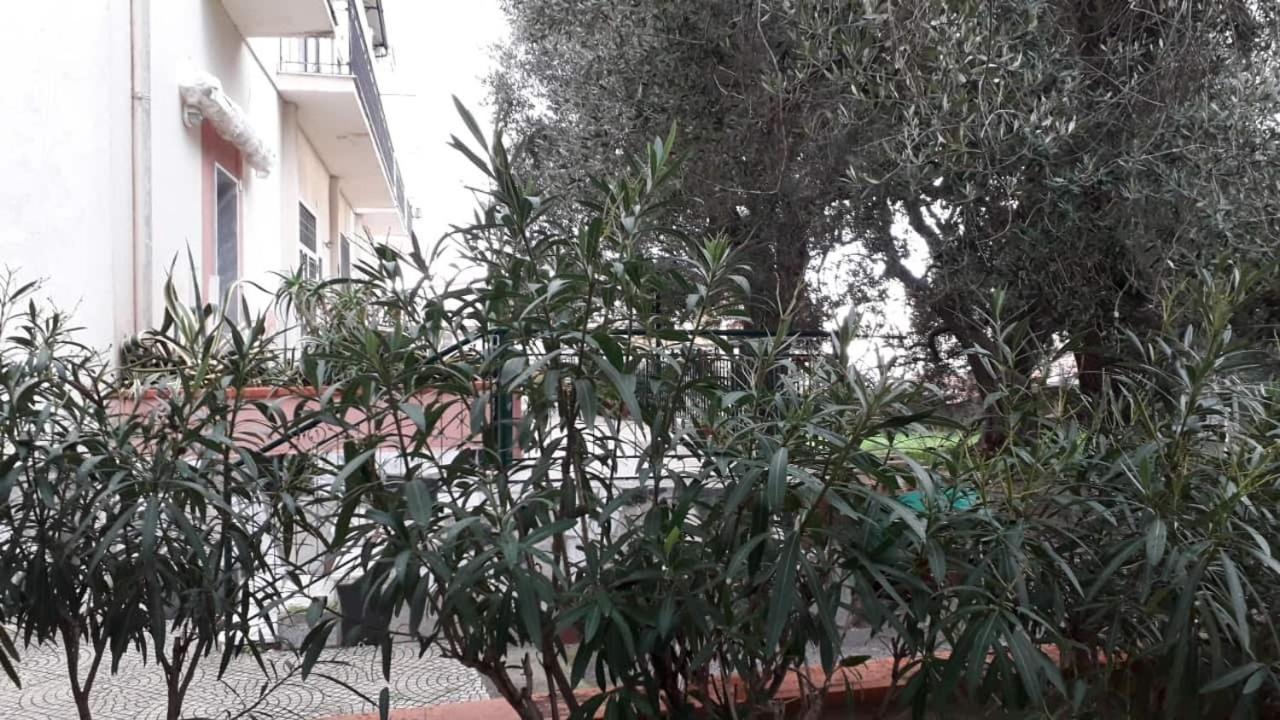 Cialoma Full Green Marina di Camerota Buitenkant foto